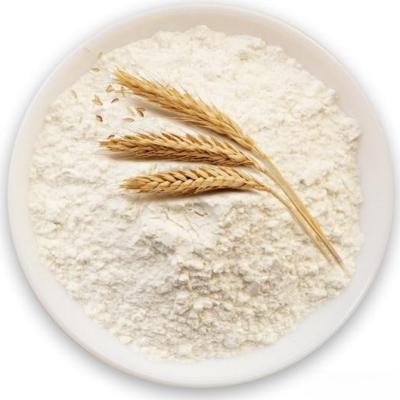 CAS:8002-80-0 Wheat Protein Powder/Wheat Gluten Powder