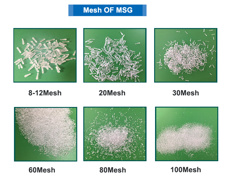 不同Mesh.jpg